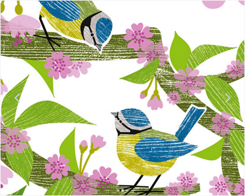Silver Birch Cards Row